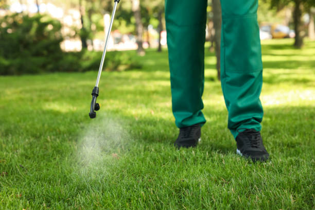 Reliable Jacksboro, TN Pest Control Solutions