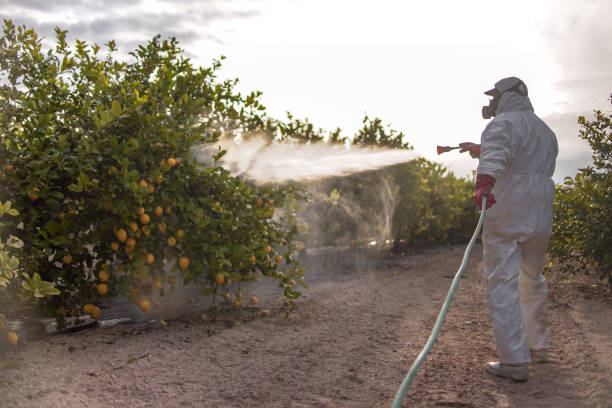 Best Best Pest Control Companies  in Jacksboro, TN