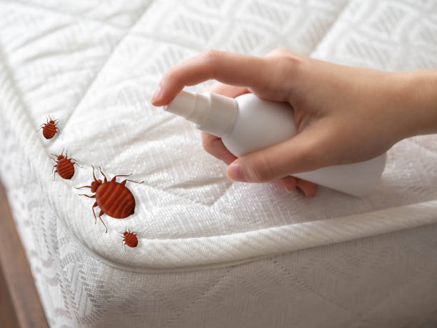 Best Affordable Pest Control Services  in Jacksboro, TN